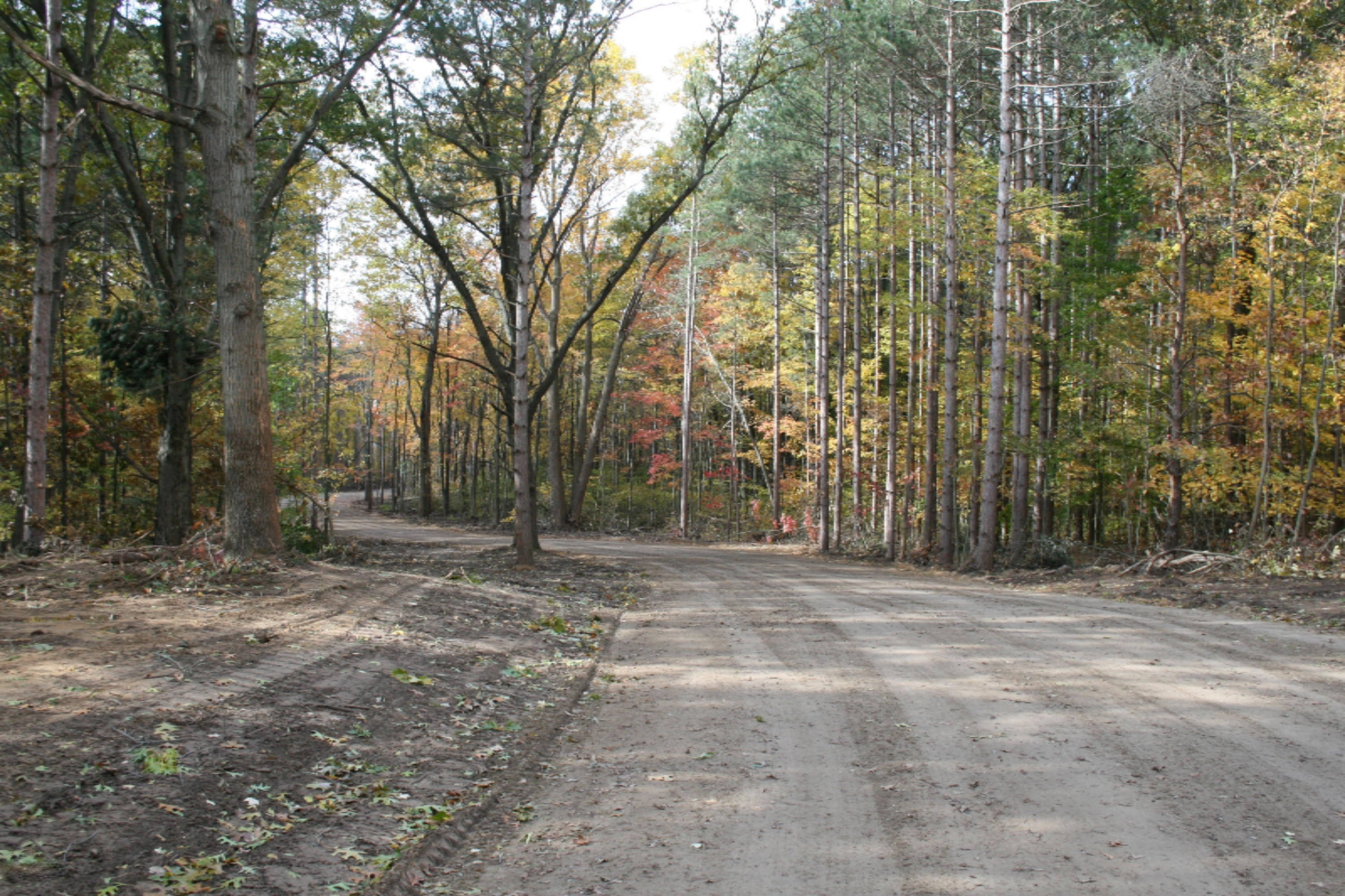 6 Pine Ridge Road Hamilton, MI 49419 - Photo 5 of 12 IMG_6621