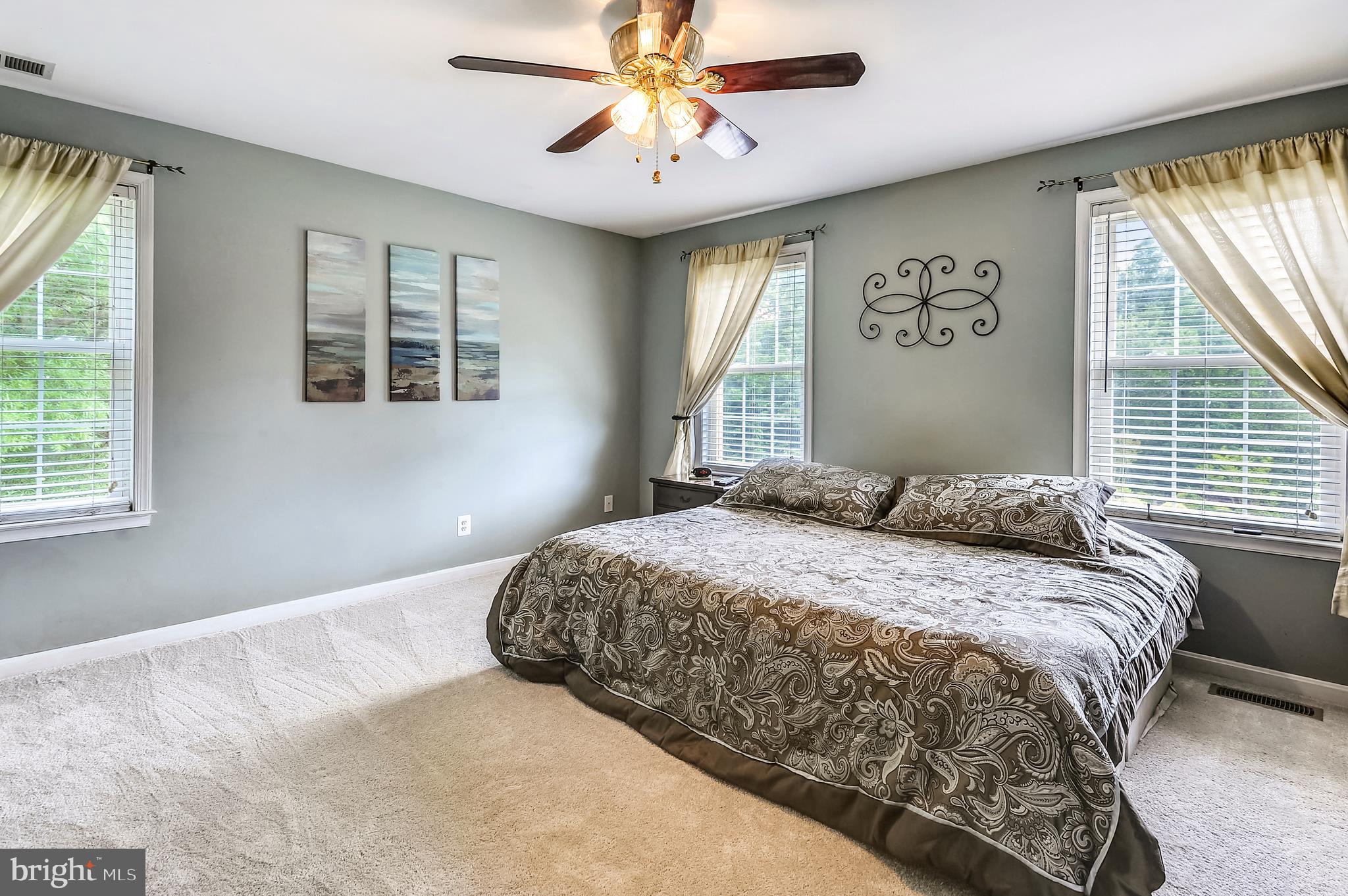 5300 Sheridan Point Road Prince Frederick, MD 20678 - Photo 11 of 50 Large Master w/New Carpet and ceiling fan