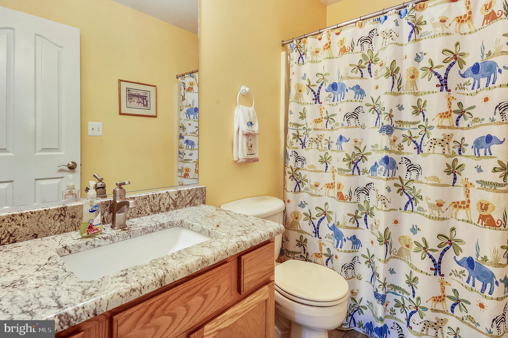 5300 Sheridan Point Road Prince Frederick, MD 20678 - Photo 15 of 50 Updated Upper Level Full Bath