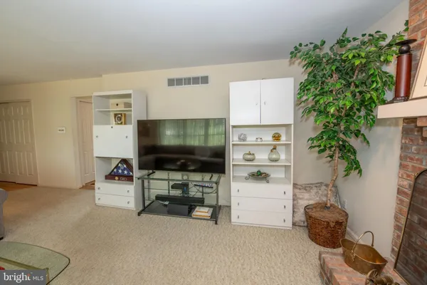 a room with furniture and a potted plant