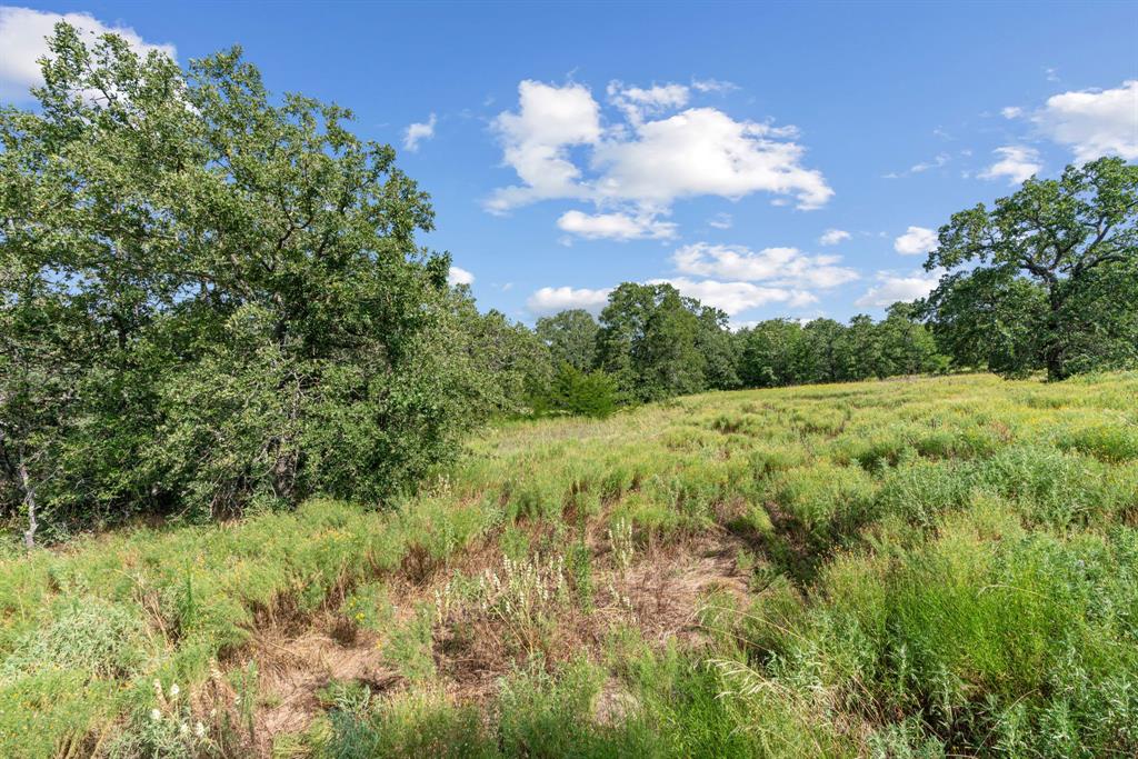 Lot 32 Galway Road Poolville, TX 76487 - Photo 12 of 18
