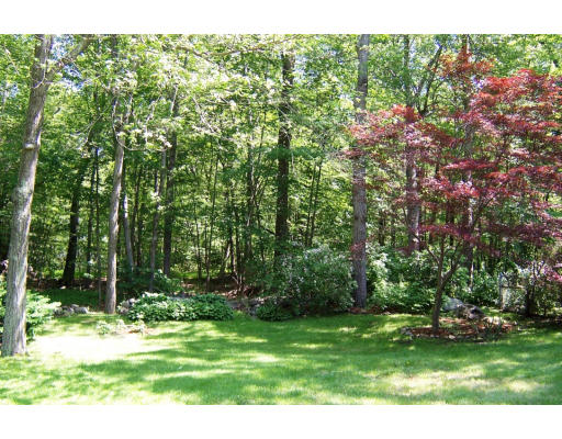 47 Winthrop Road Lexington, MA 02421 - Photo 4 of 11