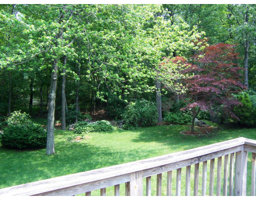 47 Winthrop Road Lexington, MA 02421 - Photo 8 of 11