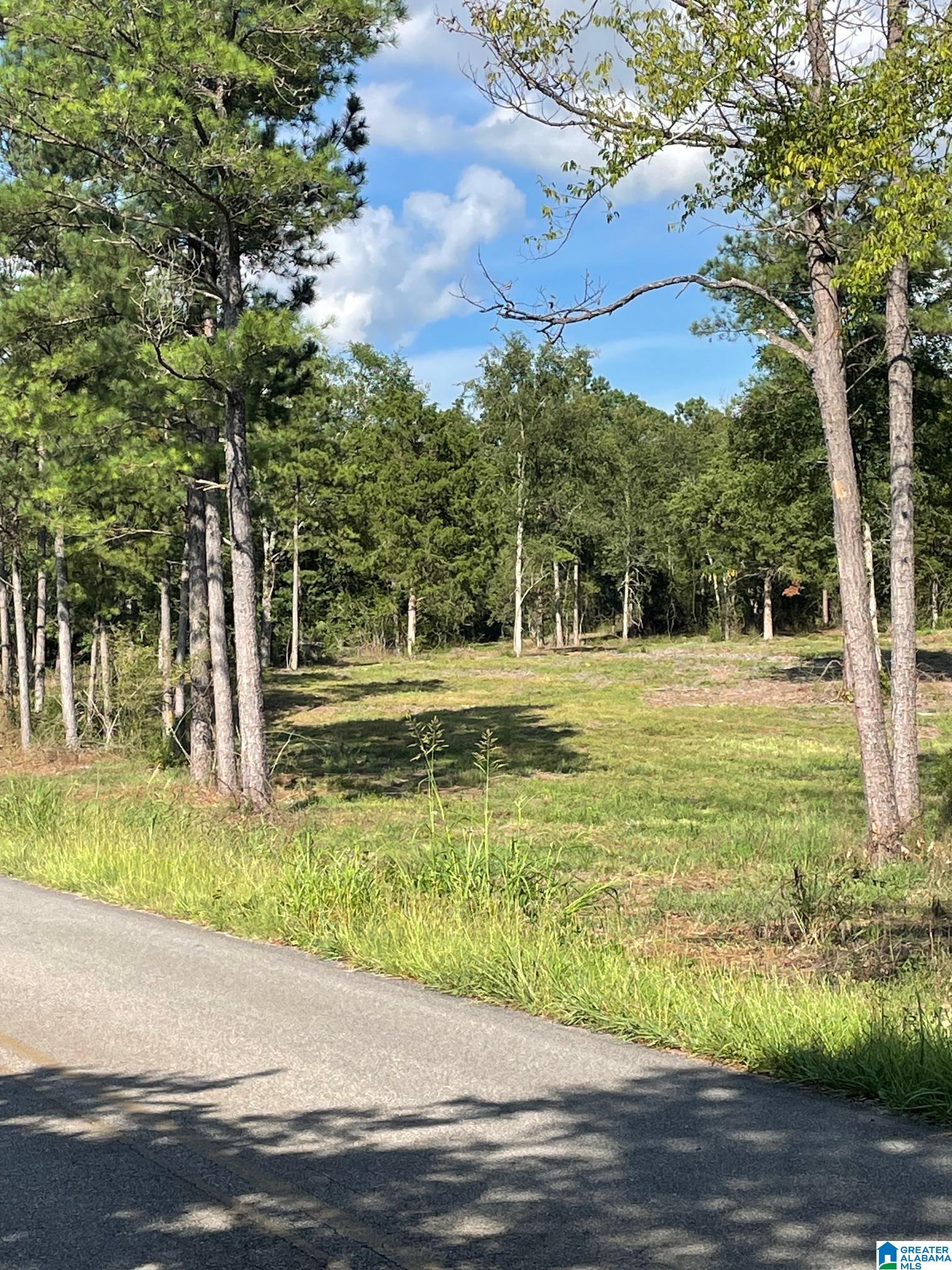 0 Ironaton Road, Unit 1 Talladega, AL 35160 - Photo 10 of 10