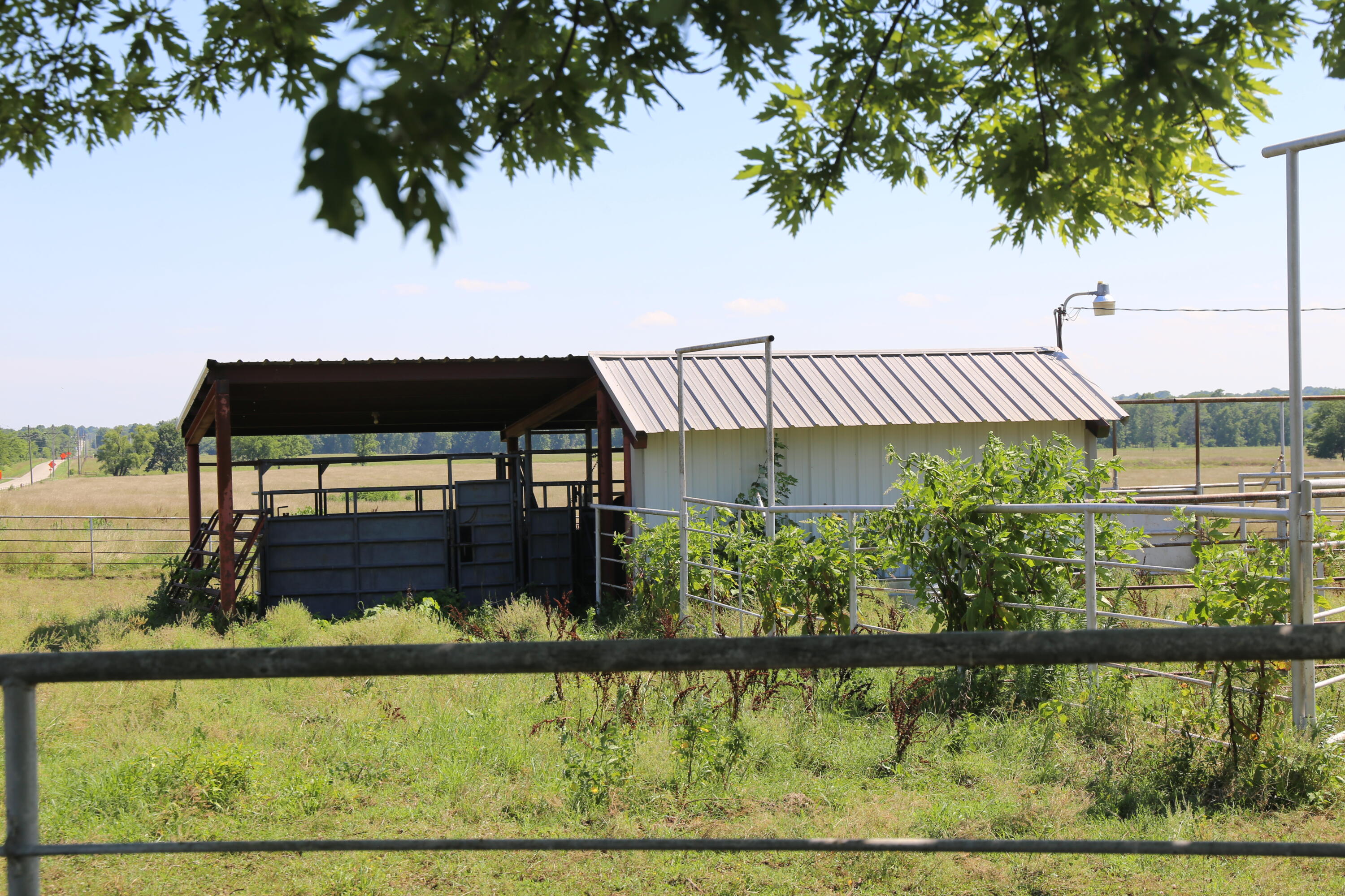 12671 South 4450 Road Bluejacket, OK 74333 - Photo 2 of 15 Gallery Image 2