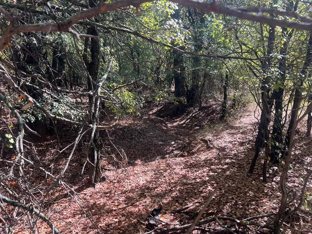 $1,179,750 | Tbd Uselton Road, Loving, TX 76460