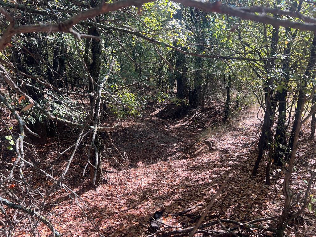 Tbd Uselton Road Loving, TX 76460 - Photo 11 of 26 a backyard of a house with lots of green space