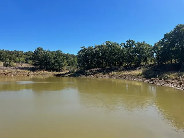 $1,179,750 | Tbd Uselton Road, Loving, TX 76460