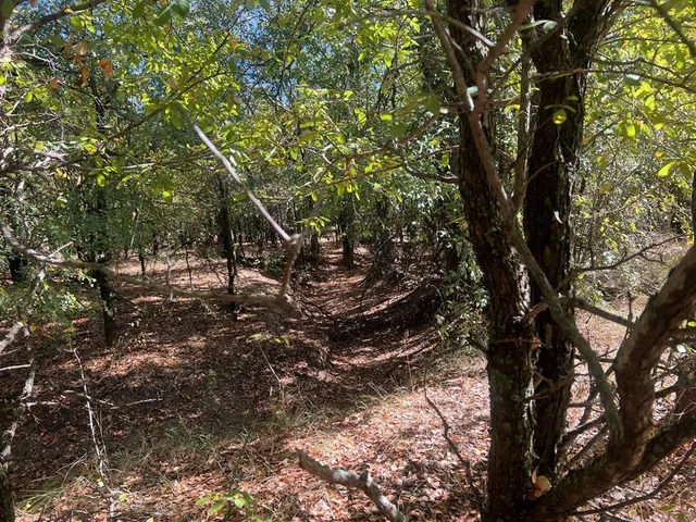 $1,179,750 | Tbd Uselton Road, Loving, TX 76460