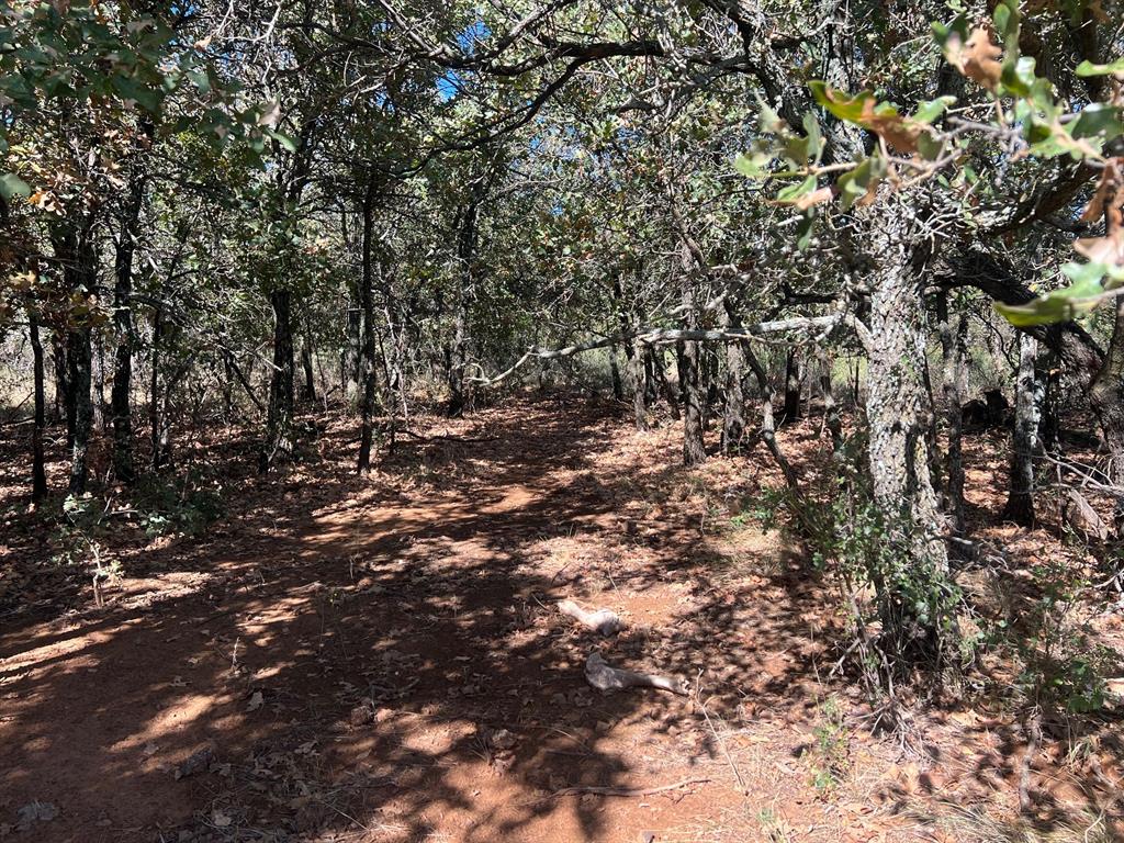 Tbd Uselton Road Loving, TX 76460 - Photo 17 of 26 a view of a tree