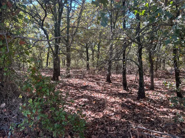 $1,179,750 | Tbd Uselton Road, Loving, TX 76460
