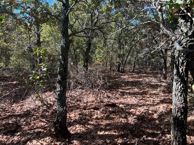 $1,179,750 | Tbd Uselton Road, Loving, TX 76460