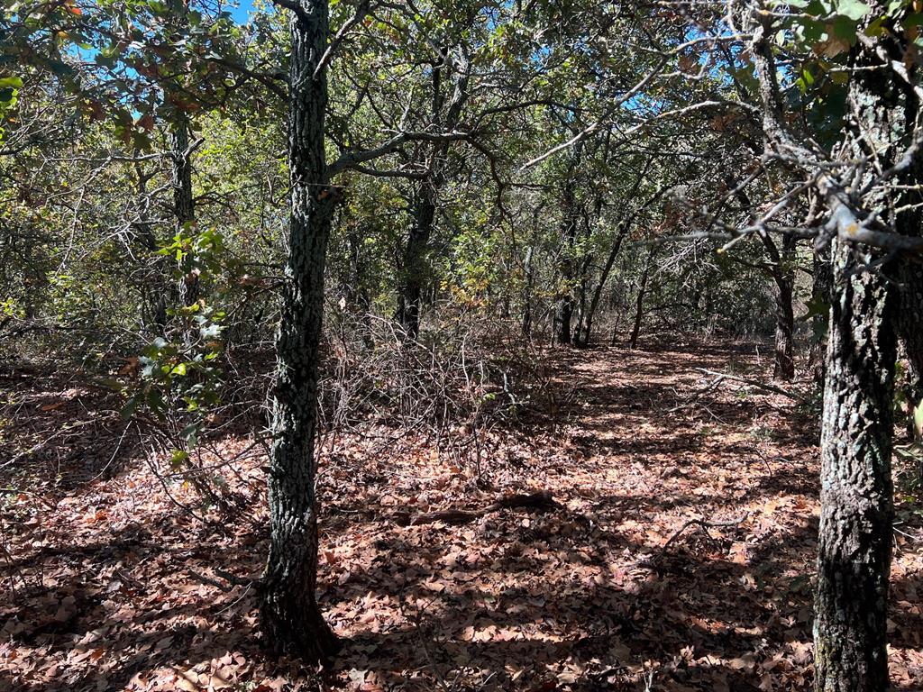 Tbd Uselton Road Loving, TX 76460 - Photo 19 of 26 a view of a yard with a tree