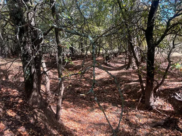 $1,179,750 | Tbd Uselton Road, Loving, TX 76460