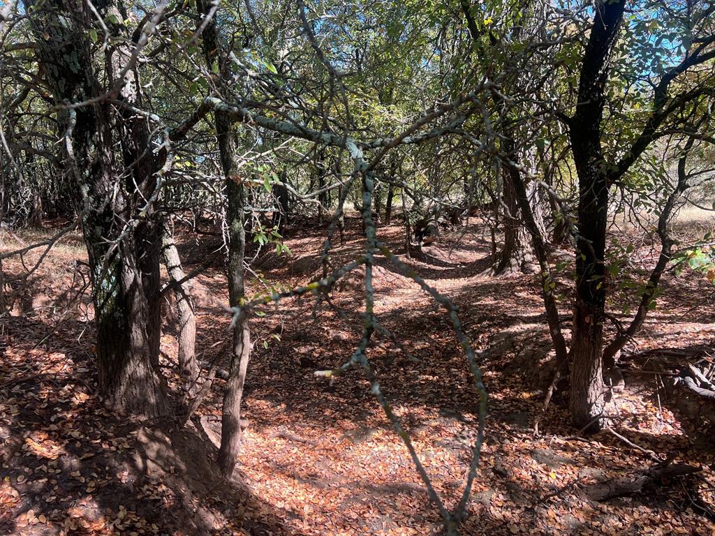 Tbd Uselton Road Loving, TX 76460 - Photo 2 of 26