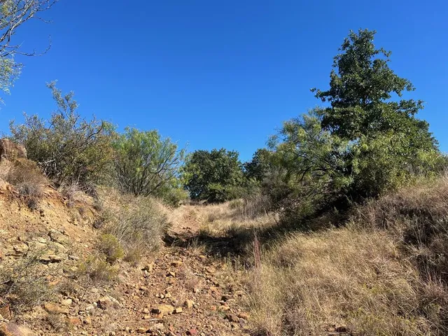 $1,179,750 | Tbd Uselton Road, Loving, TX 76460