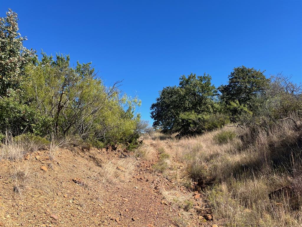 Tbd Uselton Road Loving, TX 76460 - Photo 22 of 26 a view of a dry yard with lots of bushes