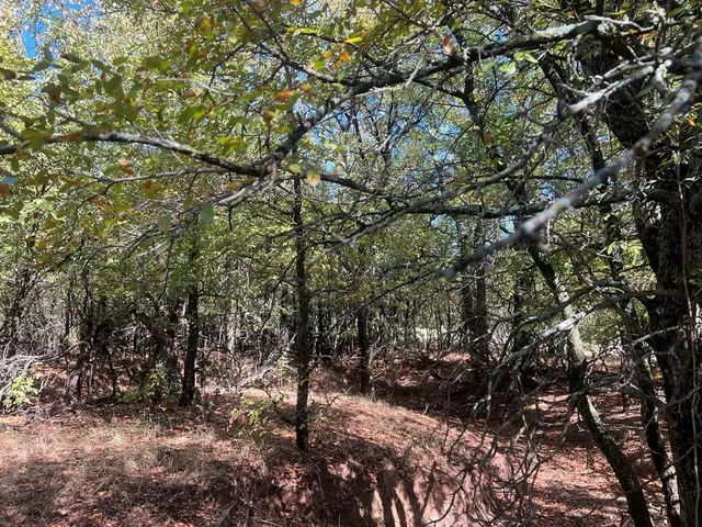 $1,179,750 | Tbd Uselton Road, Loving, TX 76460