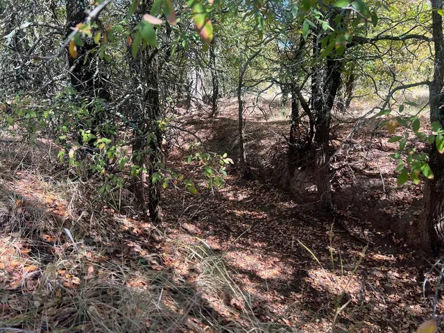 $1,179,750 | Tbd Uselton Road, Loving, TX 76460