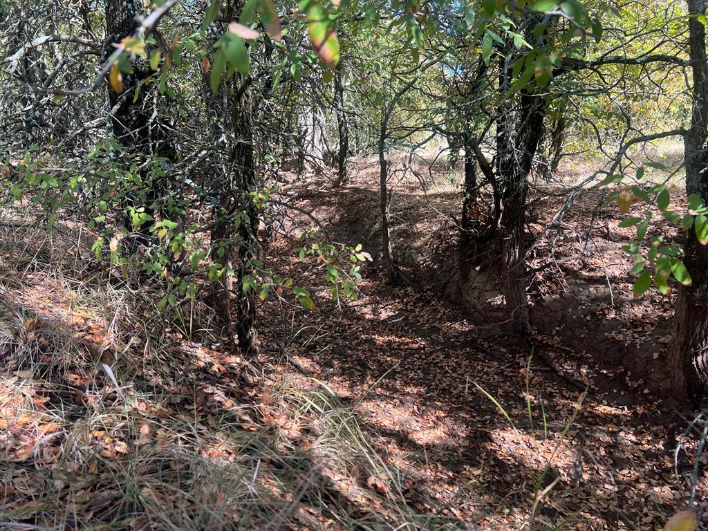 Tbd Uselton Road Loving, TX 76460 - Photo 4 of 26 a view of a tree