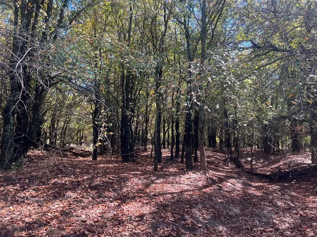 $1,179,750 | Tbd Uselton Road, Loving, TX 76460