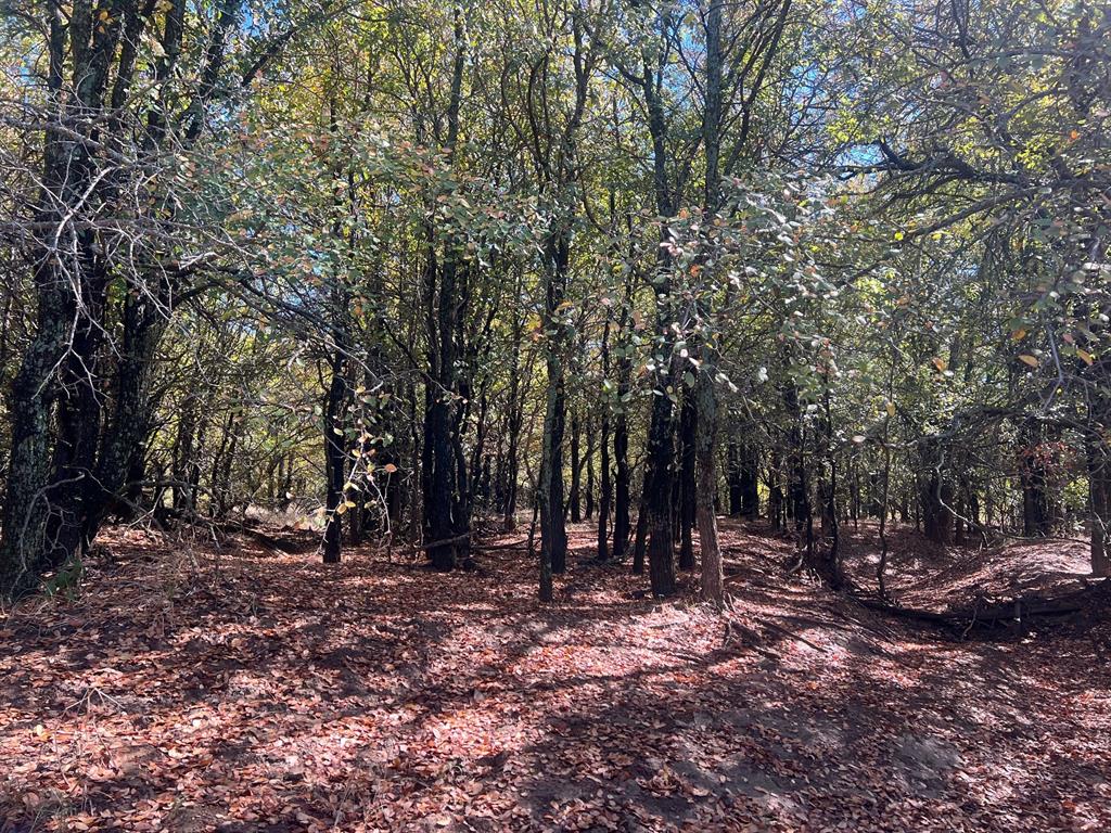 Tbd Uselton Road Loving, TX 76460 - Photo 5 of 26 a view of outdoor space with green space