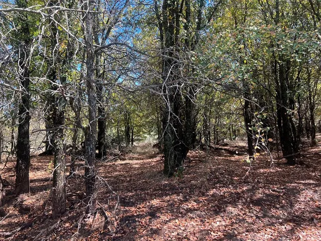 $1,179,750 | Tbd Uselton Road, Loving, TX 76460