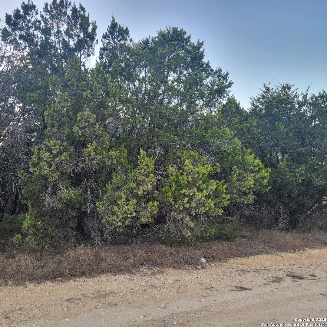 0 Tbd (oak Ridge - Lot 22) Spring Branch, TX 78070 - Photo 1 of 4