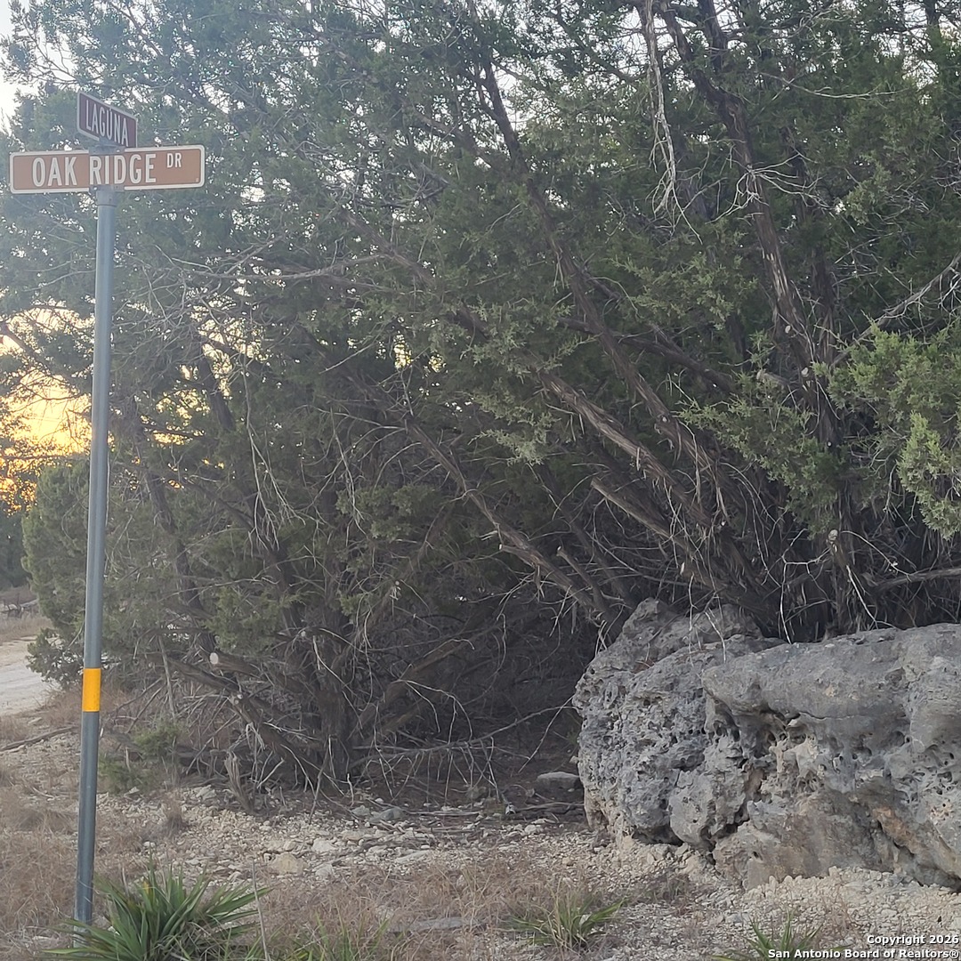 0 Tbd (oak Ridge - Lot 22) Spring Branch, TX 78070 - Photo 4 of 4