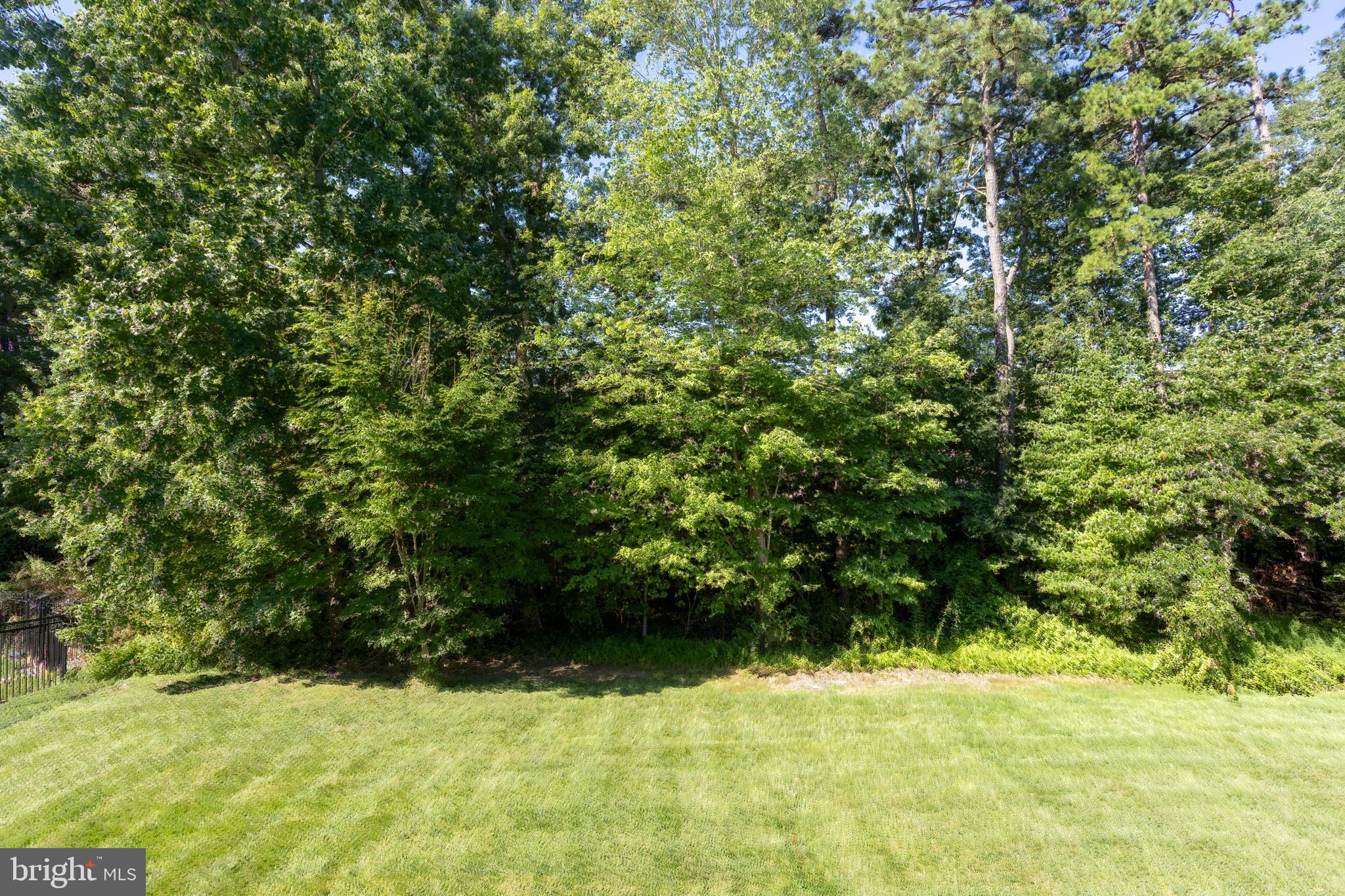 153 Cool Springs Road North East, MD 21901 - Photo 9 of 47 a view of a yard