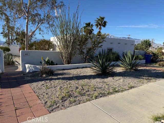 a view of a palm tree next to a yard