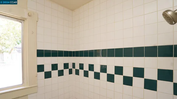 a view of backyard and tree