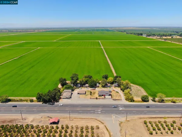 a view of a backyard with plants