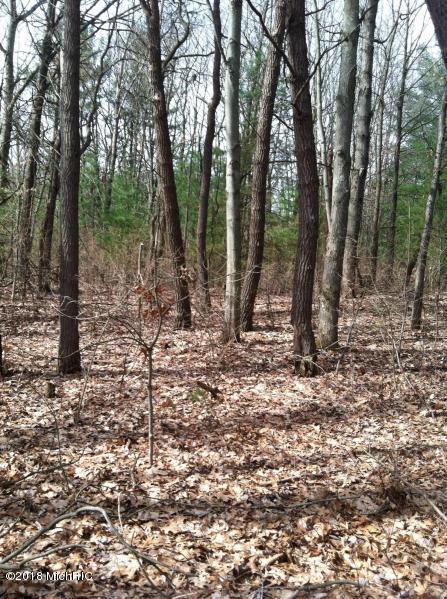 8687 17 Mile Road Northeast Cedar Springs, MI 49319 - Photo 1 of 4