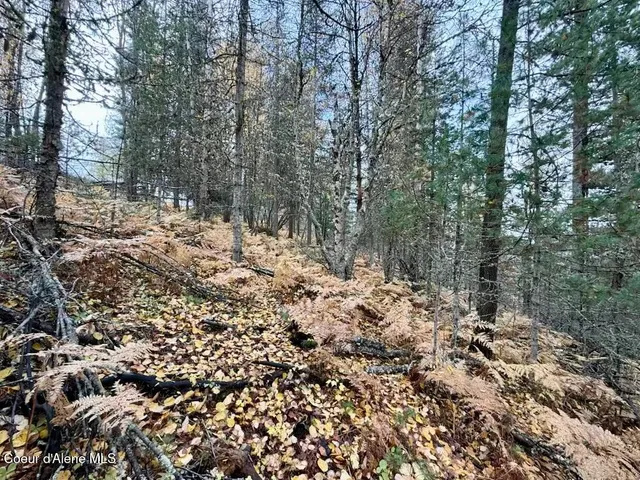 $39,000 | Nka Nka Country Club Road, Kellogg, ID 83837