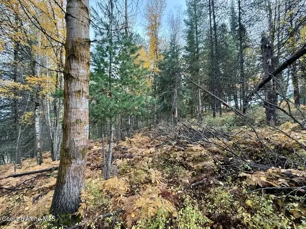$39,000 | Nka Nka Country Club Road, Kellogg, ID 83837