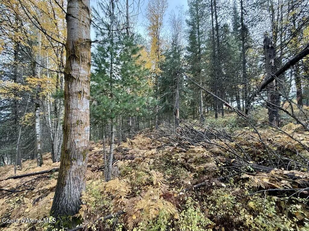 Nka Nka Country Club Road Kellogg, ID 83837 - Photo 12 of 12 12