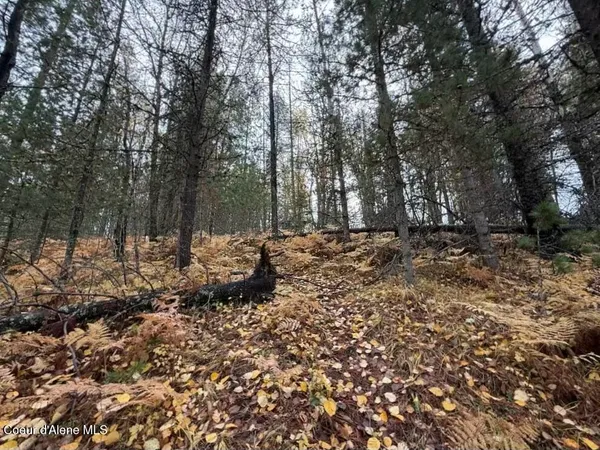 $39,000 | Nka Nka Country Club Road, Kellogg, ID 83837