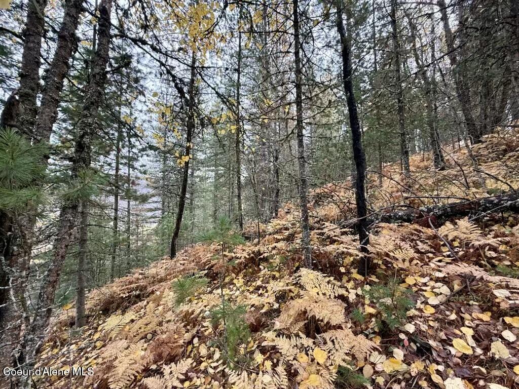 Nka Nka Country Club Road Kellogg, ID 83837 - Photo 10 of 12 10