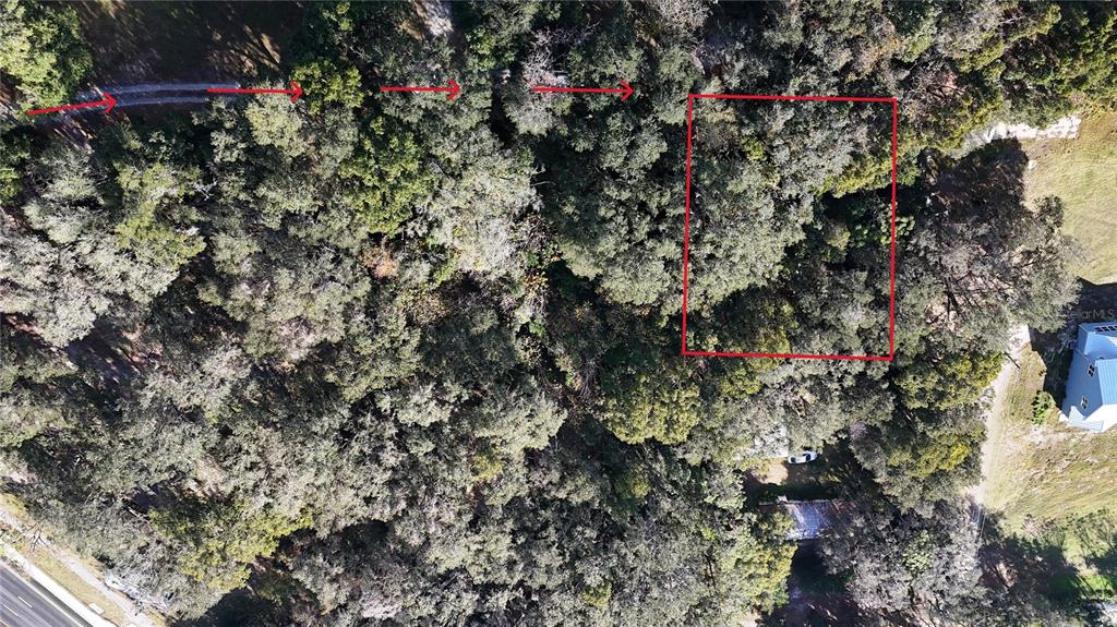 Orange Street Lady Lake, FL 32159 - Photo 4 of 6 a view of electric pole