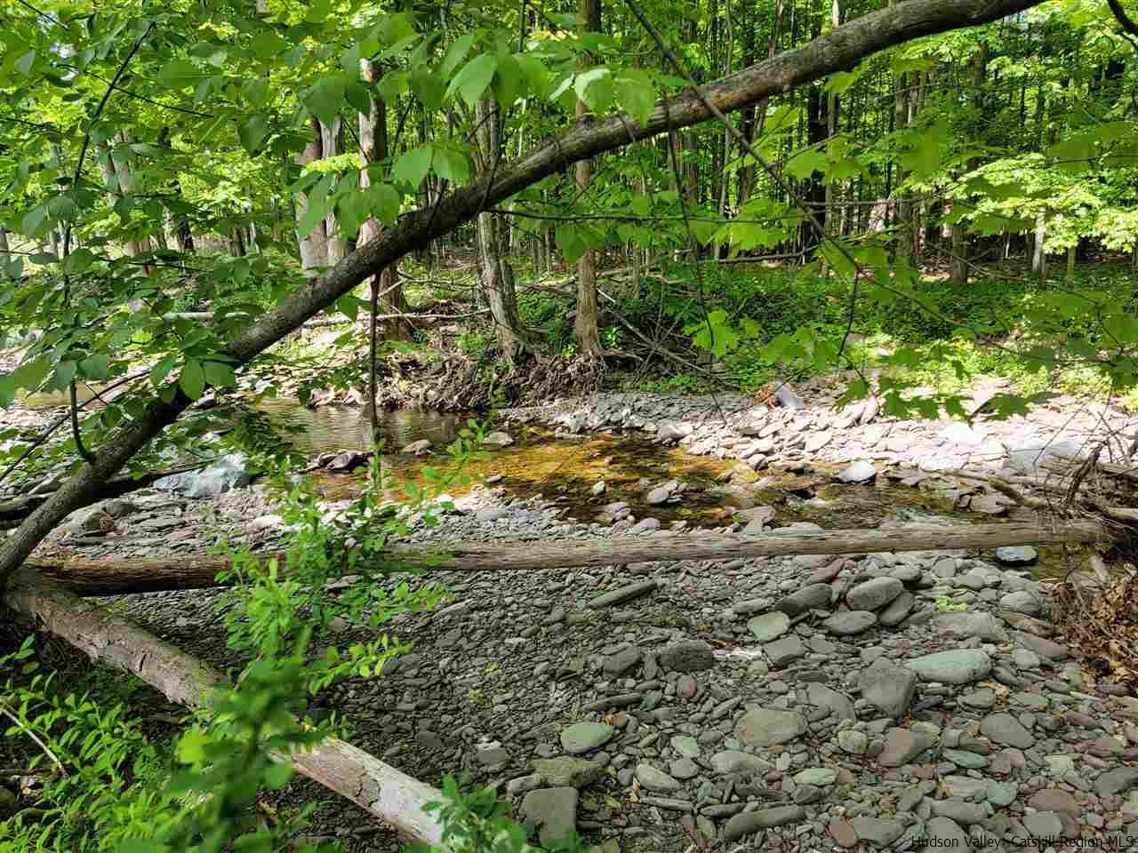 482 Hearts Content Road Round Top, NY 12473 - Photo 1 of 25 Photo 1