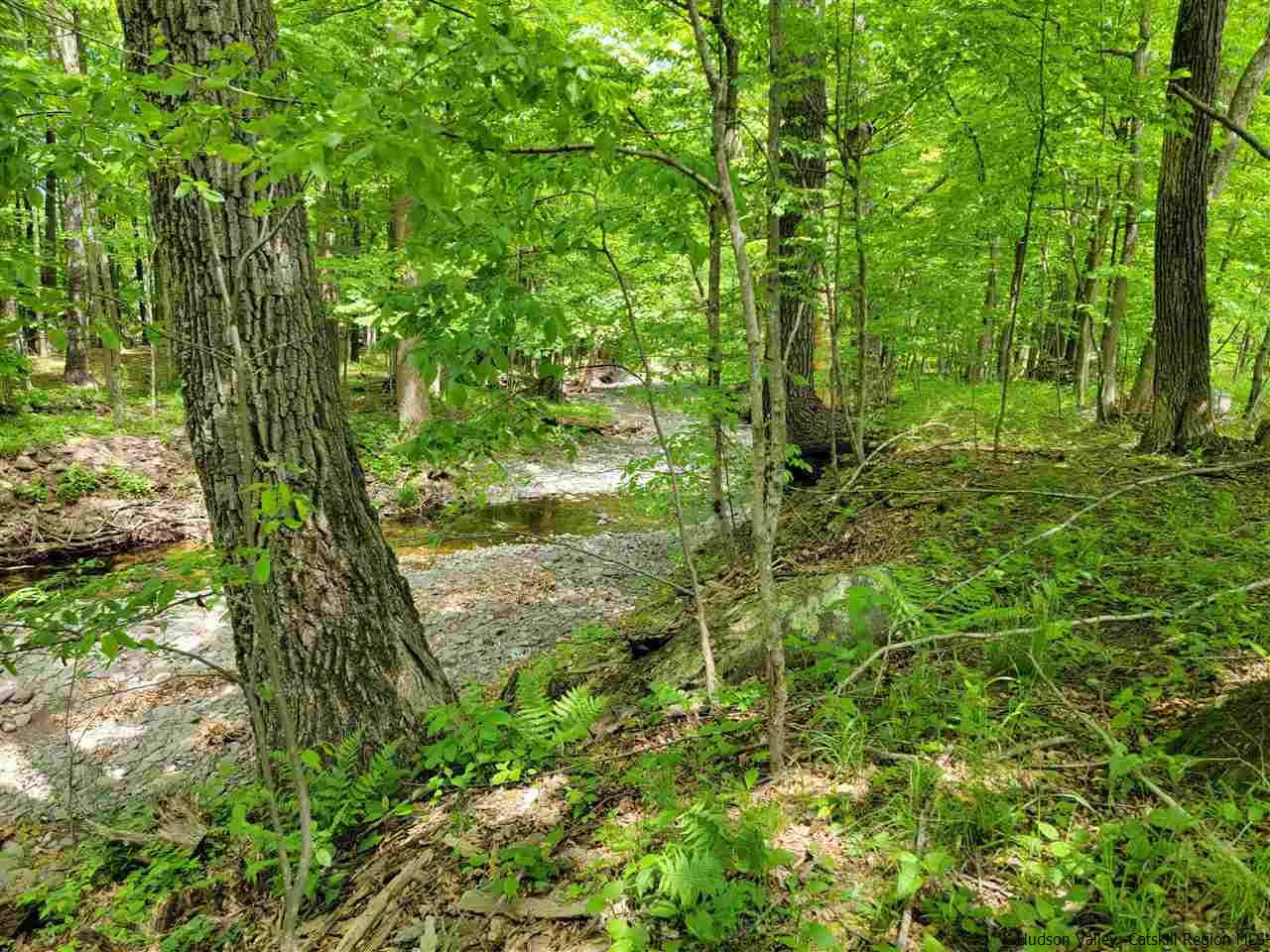 482 Hearts Content Road Round Top, NY 12473 - Photo 19 of 25 Photo 19