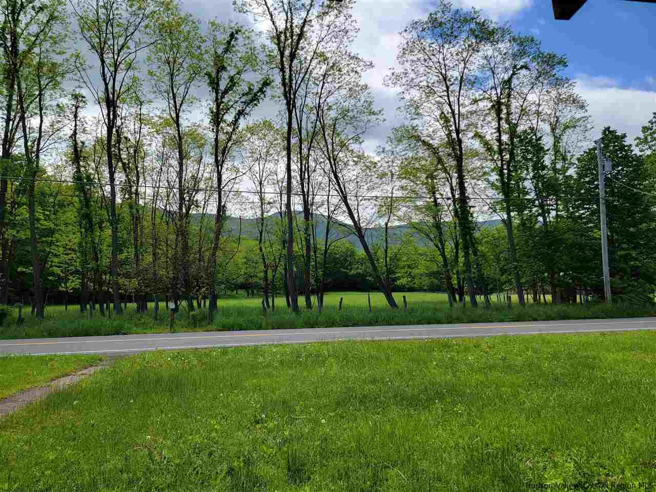 482 Hearts Content Road Round Top, NY 12473 - Photo 3 of 25 Photo 3