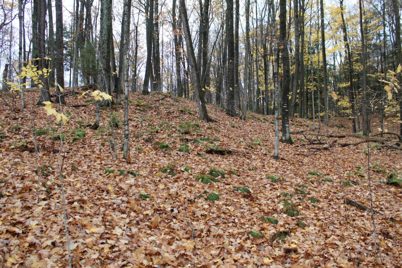 On Lakeview Drive Rhinelander, WI 54501 - Photo 2 of 10 Gallery Image 2