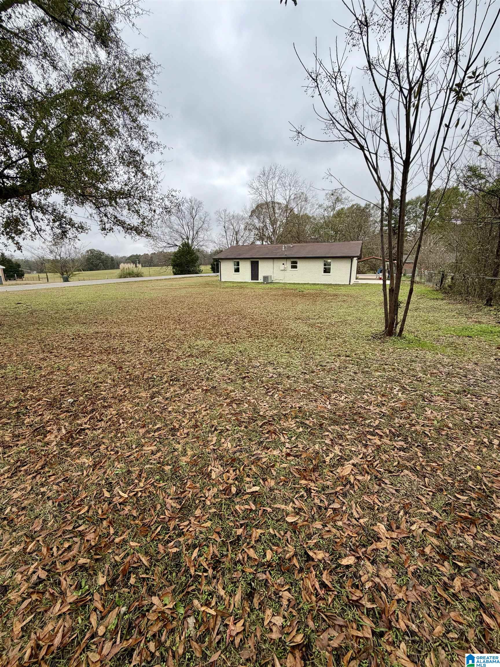100 Mims Circle Clanton, AL 35045 - Photo 4 of 18
