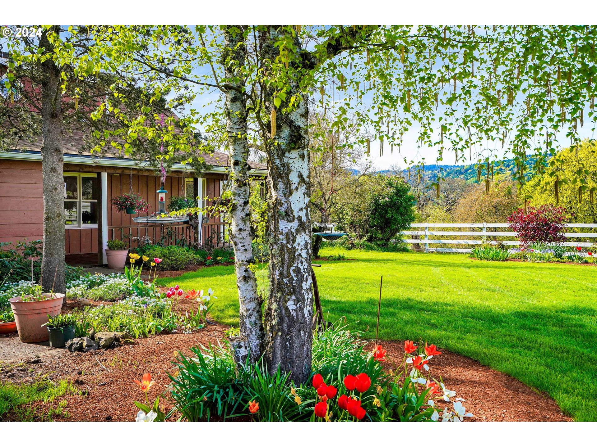 10342 Liberty Road South Jefferson, OR 97352 - Photo 39 of 40 a view of a garden with plants and large trees