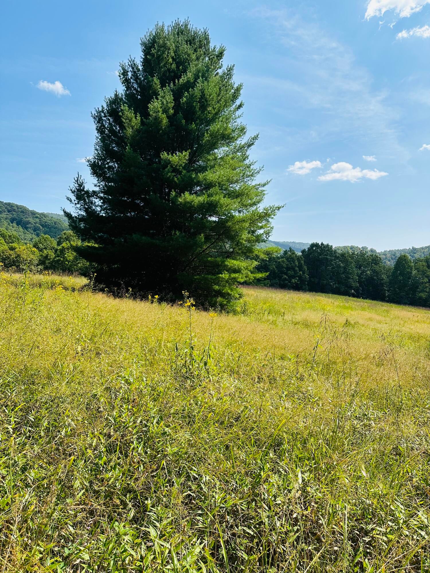 Harper Road Lewisburg, WV 24901 - Photo 4 of 10 Gallery Image 4