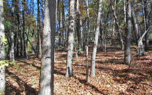 3-ac Scenic Drive Blue Ridge, GA 30513 - Photo 1 of 1 Main View