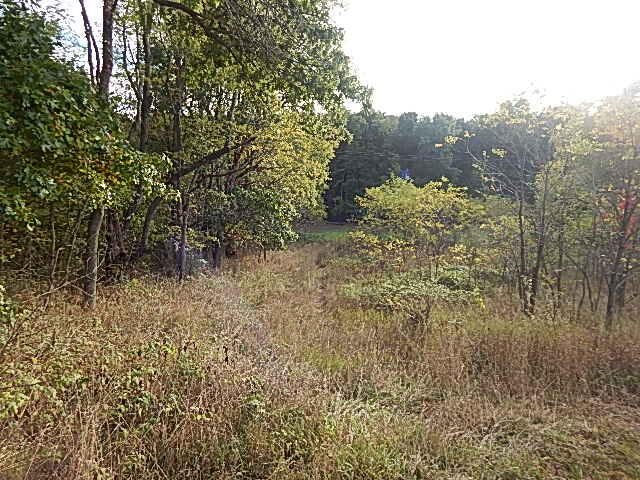 9755 Lindsey Road Plainwell, MI 49080 - Photo 12 of 57 DSCN1653