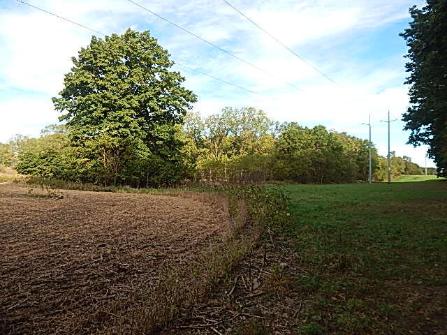 9755 Lindsey Road Plainwell, MI 49080 - Photo 15 of 57 DSCN1656